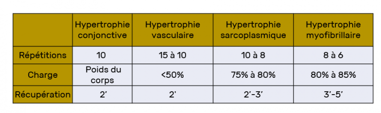 Quels sont les différents types d’hypertrophie ? - SPORTSULTING